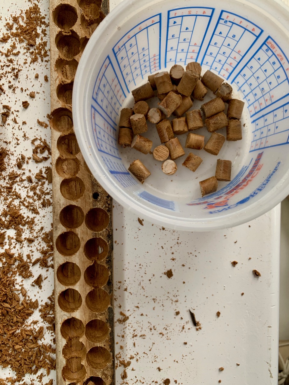 Teak plugs "Bold Flight"